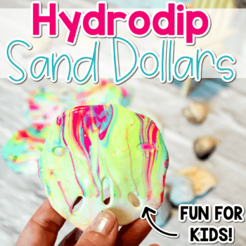 close up image of a hydrodip sand dollar art activity.