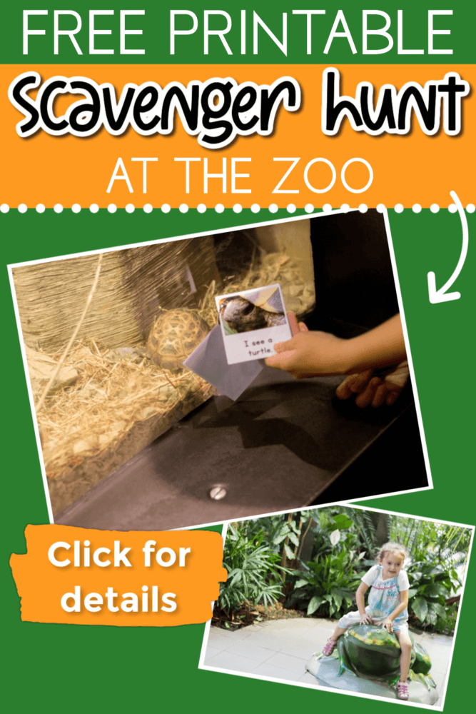 a photo of a child holding a turtle scavenger hunt page next to a turtle exhibit and a photo of a child sitting on a turtle statue.