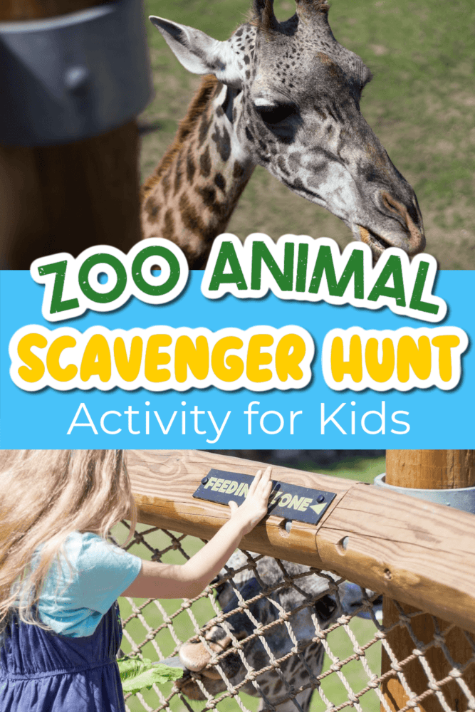 Free Printable Zoo Scavenger Hunt Book for Kids 6 up close photo of a giraffe and a photo of a girl at a zoo giraffe exhibit.