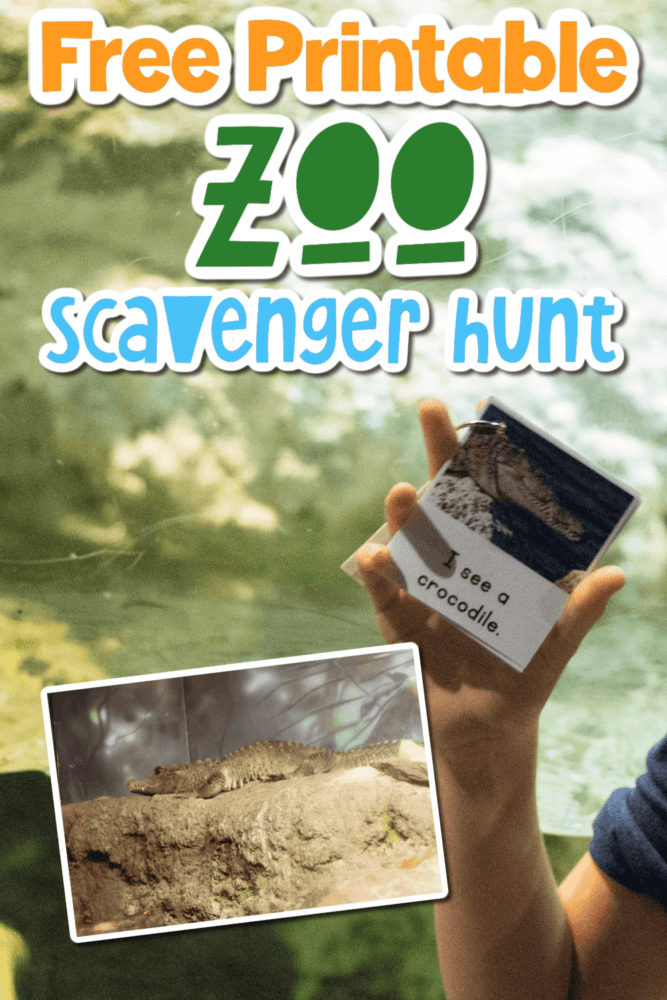 background photo of a girl holding up a zoo scavenger hunt page that says "i see an armadillo" and an overlaid smaller photo of an armadillo.