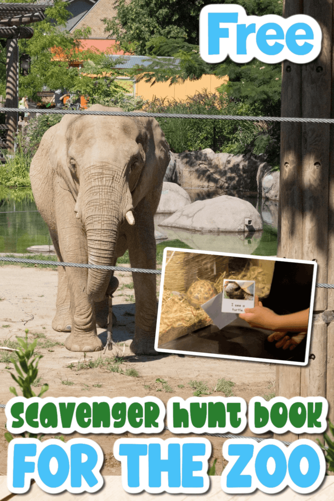 a background photo of an elephant and an overlaid photo of a child's hand holding a scavenger hunt book next to a turtle exhibit.