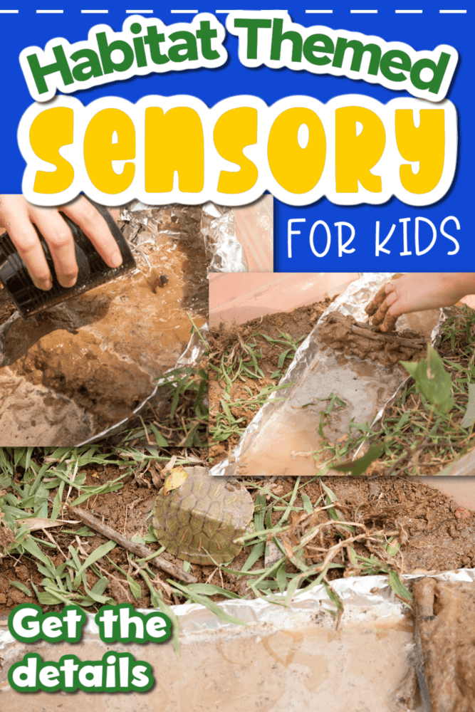 photo collage of a river habitat sensory activity.