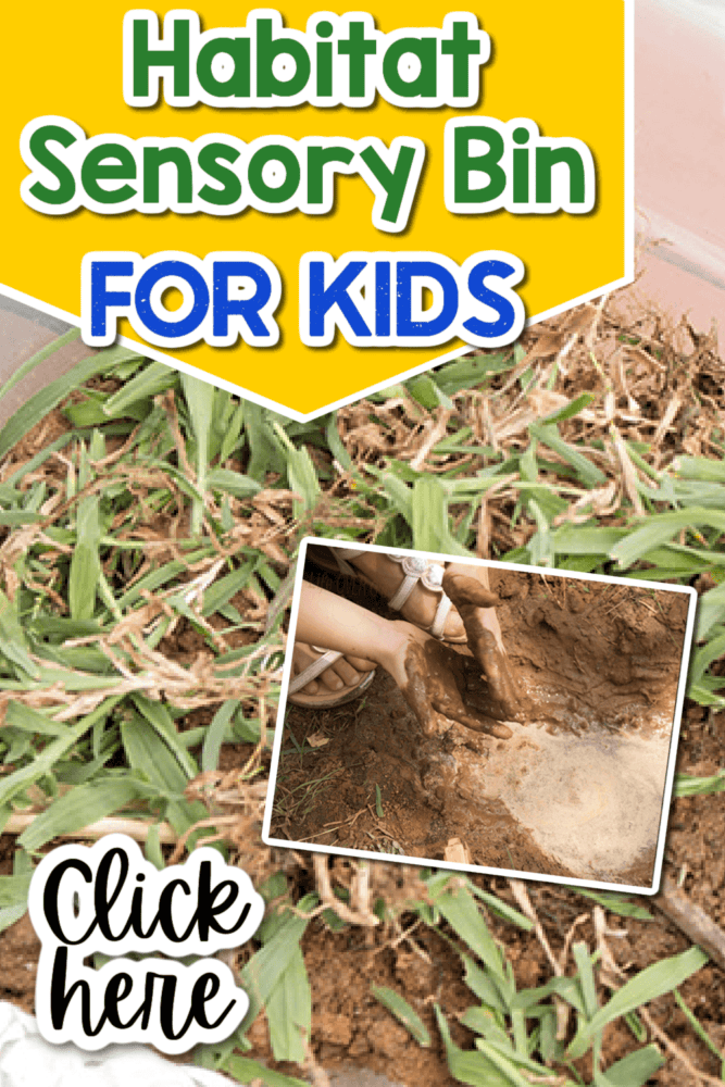 two images of a river habitat sensory bin made with dirt, grass, and water.
