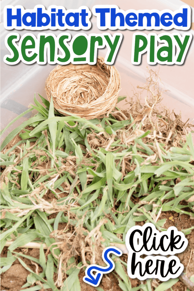up close image of dirt, weeds, and grass in a river sensory bin.