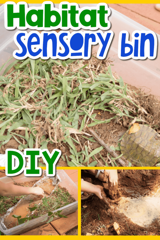 photo collage of a river habitat in a sensory bin