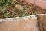 close up image of the materials inside a river sensory bin.
