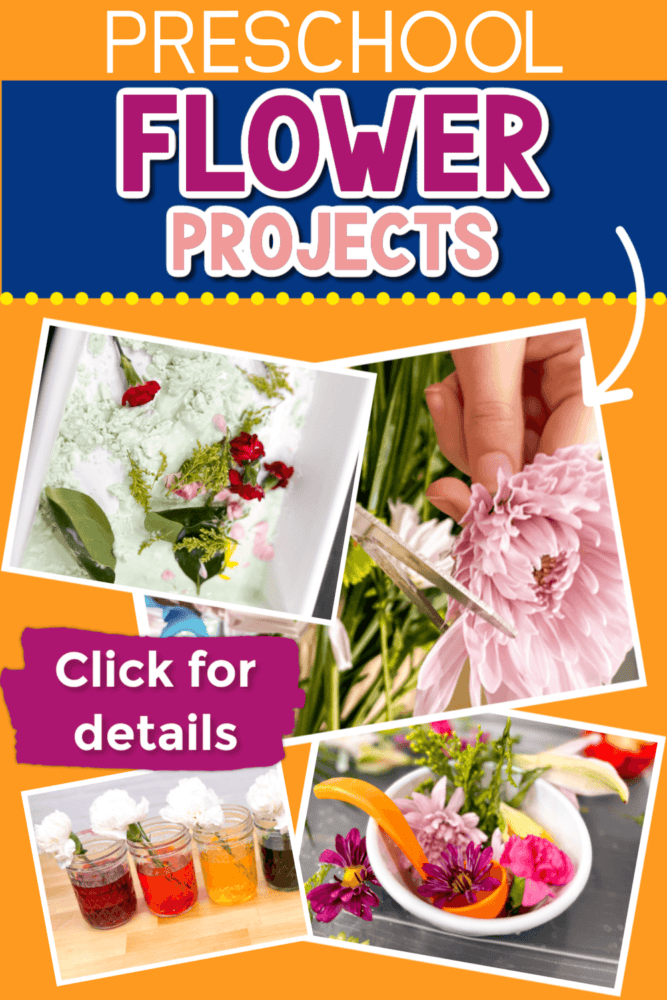 Exciting Flower Projects for Preschool - Life Over C's