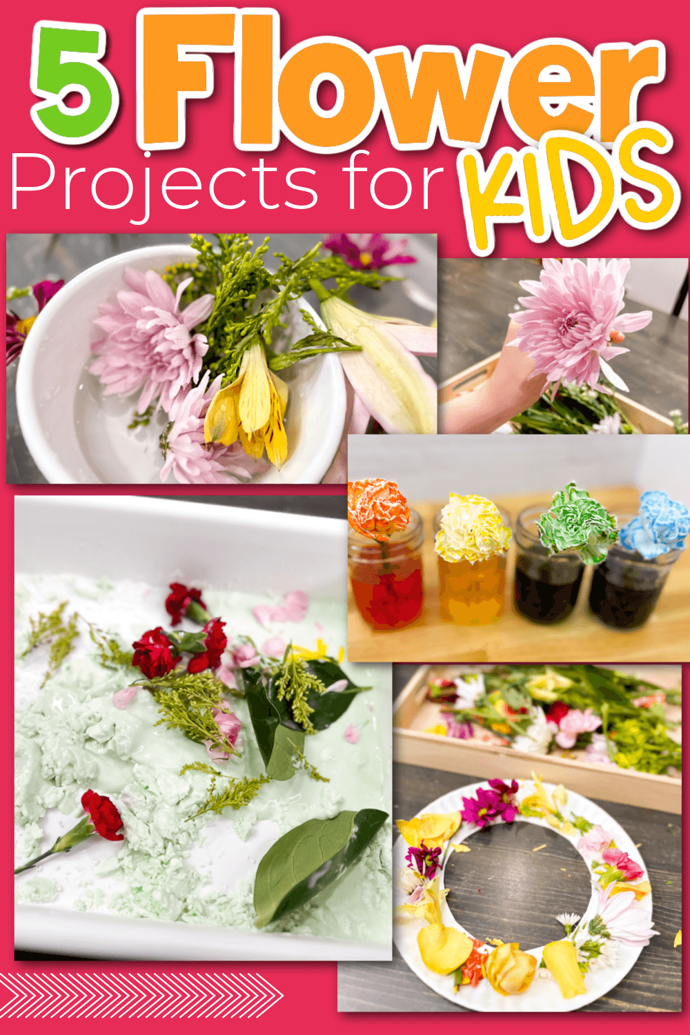 Exciting Flower Projects for Preschool - Life Over C's, image size:1000x1500