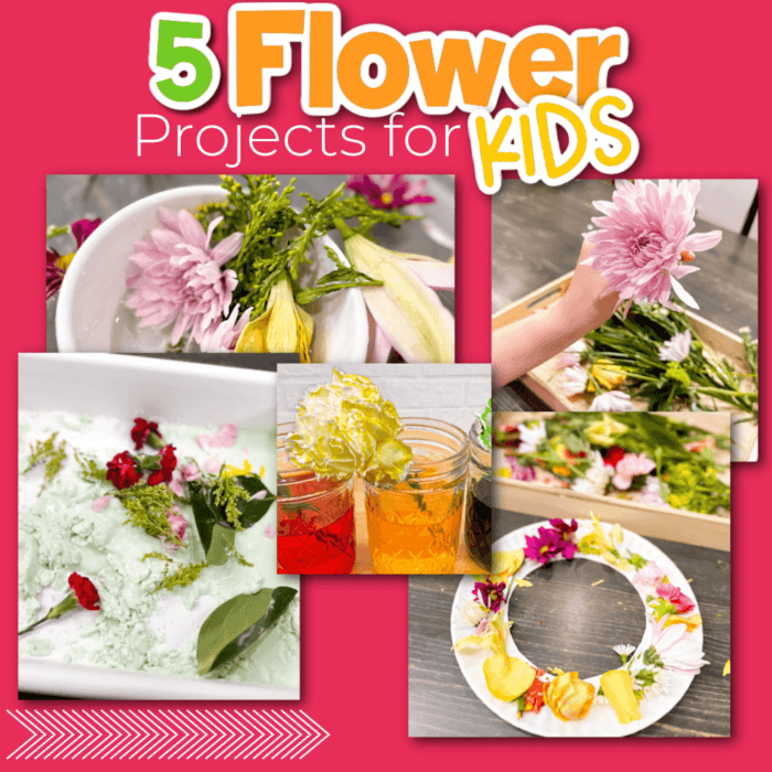 collage of five flower projects for preschoolers on a pink background text overlay says [5 flower projects for kids] projects show: flower soup sensory bin, flower ooblek science project, dyeing flowers science experiment, flower wreath, flower cutting tray
