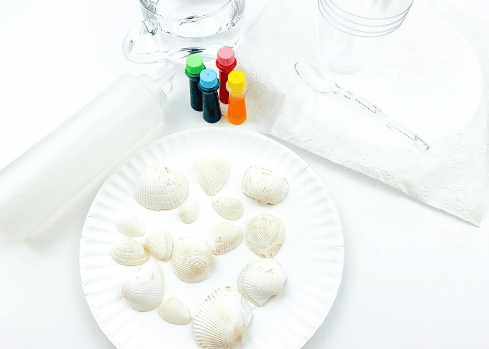 How to Dye Seashells for a Summer Sensory Bin 8 image 10