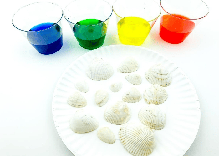 How to Dye Seashells for a Summer Sensory Bin 9 image 11