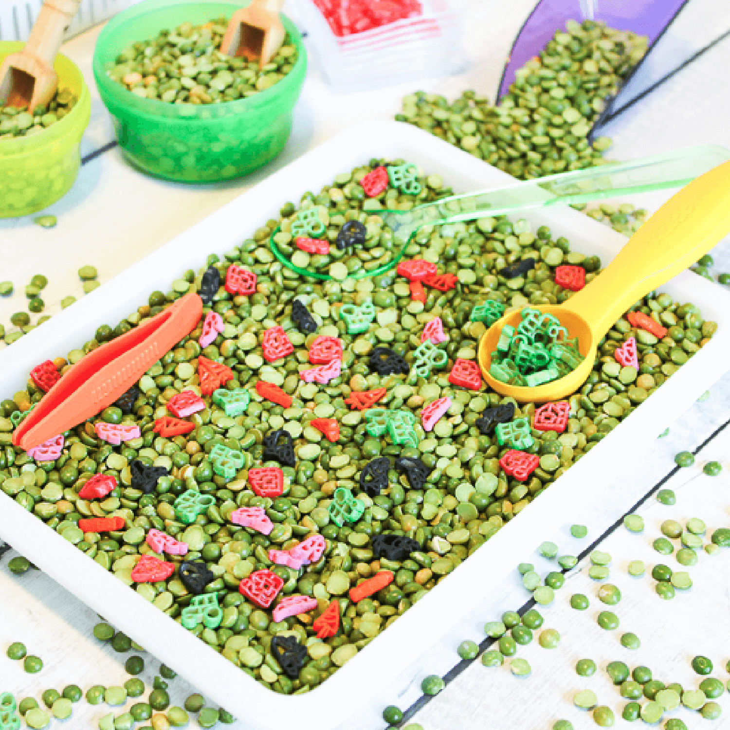 green lentils and painted farm-shaped pasta are inside a sensory bin with tweezers and scoops.