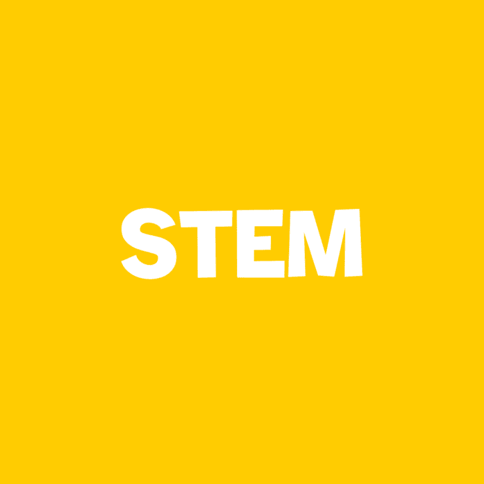yellow square icon text says [stem]