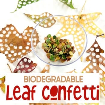 biodegradable leaf confetti in a bowl and leaves with holes punched