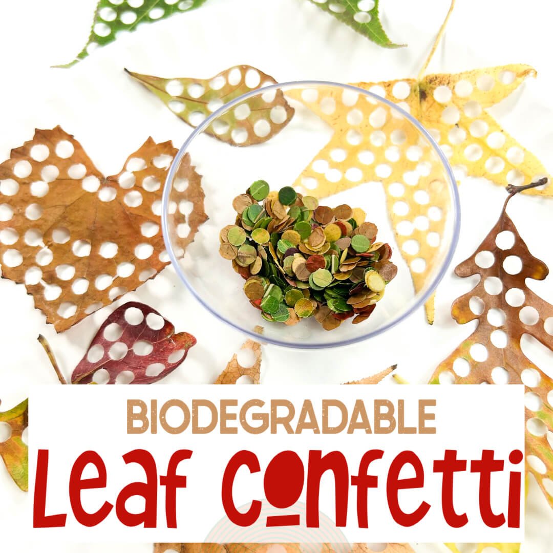 biodegradable leaf confetti in a bowl and leaves with holes punched