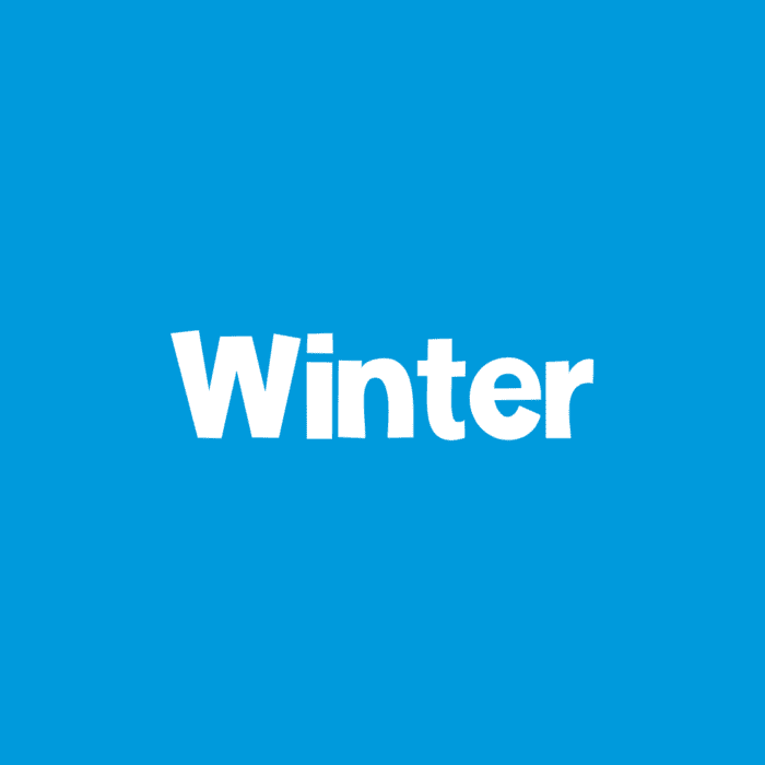 winter theme icon