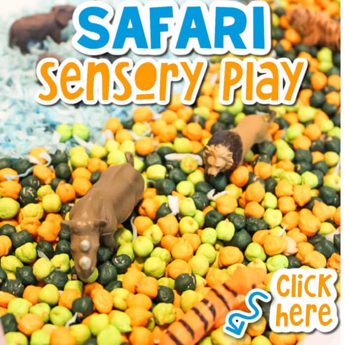 close up image of the items inside a safari sensory bin for kids.