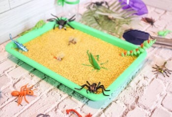 Fun Slimy Chia Seed Bugs and Insects Sensory Bin