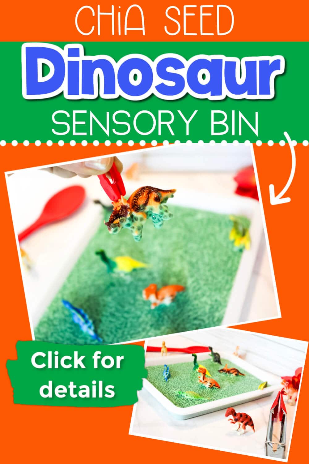 Gooey Chia Seed Dinosaur Sensory Bin for Kids