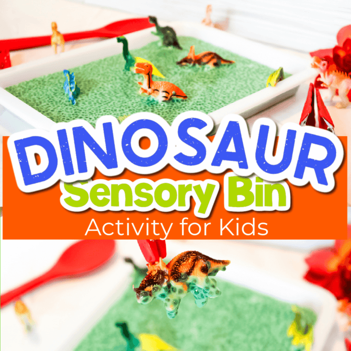 two photos of a chia seed dinosaur sensory bin.