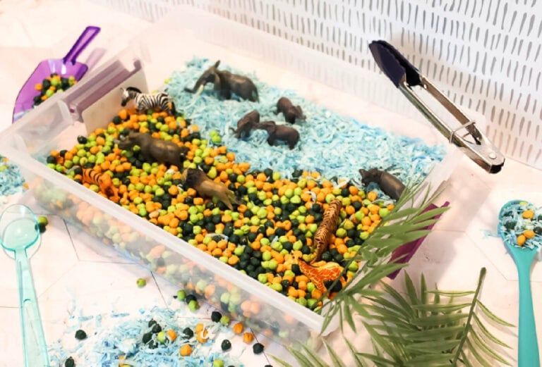 Exciting Safari Sensory Bin for Kids