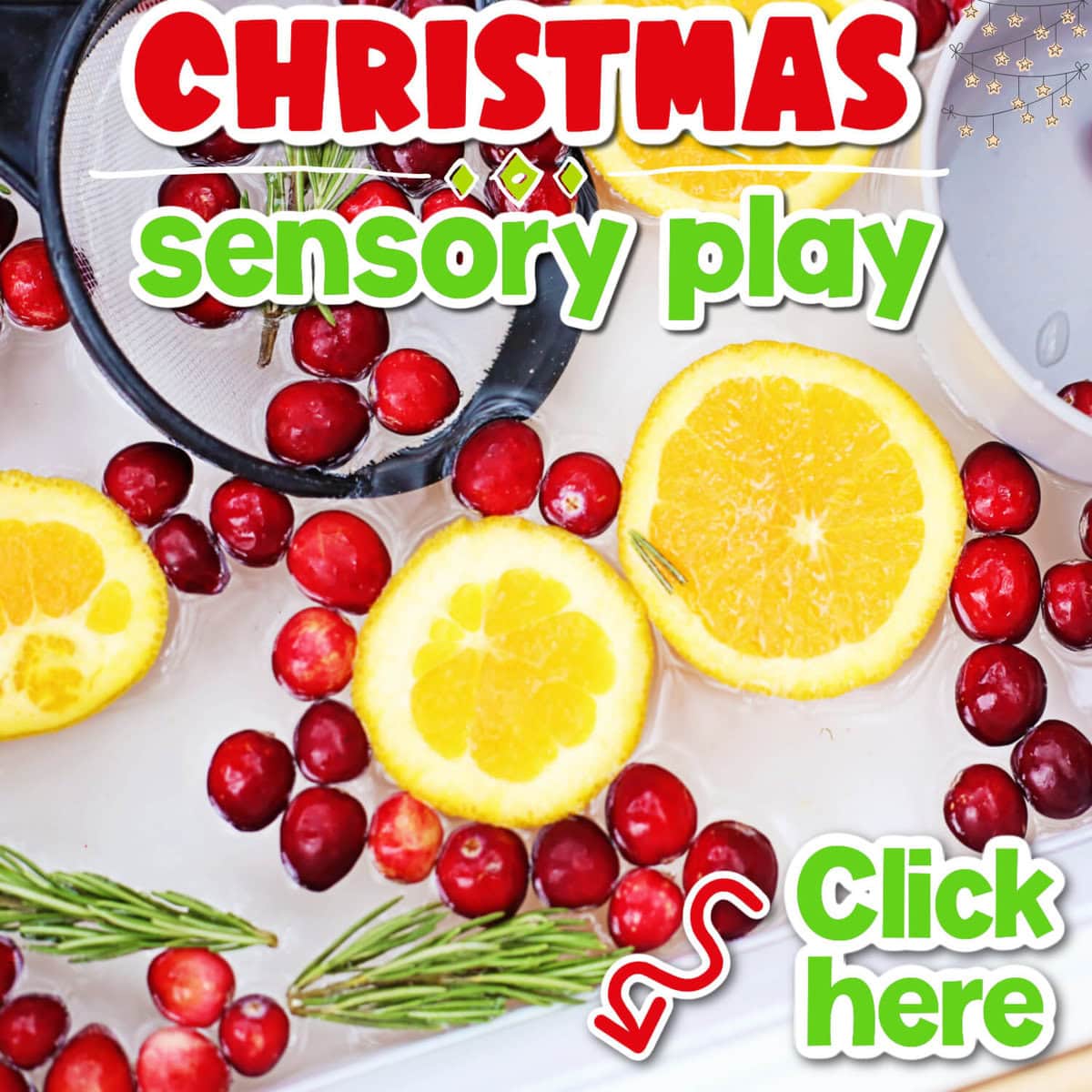 close up photo of cranberries, lemon slices and pine tree clippings in a water sensory bin for christmas