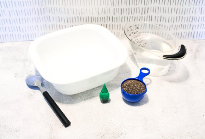 all the supplies for making a chia seed dinosaur sensory bin are on a counter.