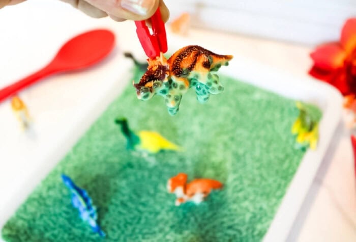 close up image of someone pulling a dinosaur toy out of the dinosaur sensory bin.