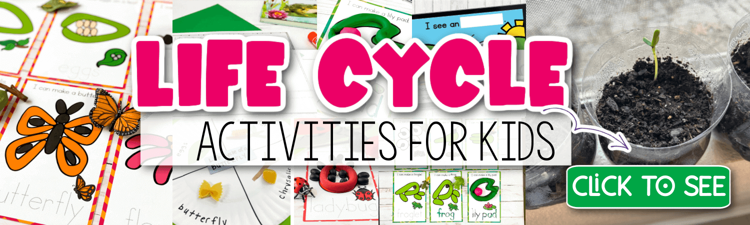 banner collage of life cycle activities for kids