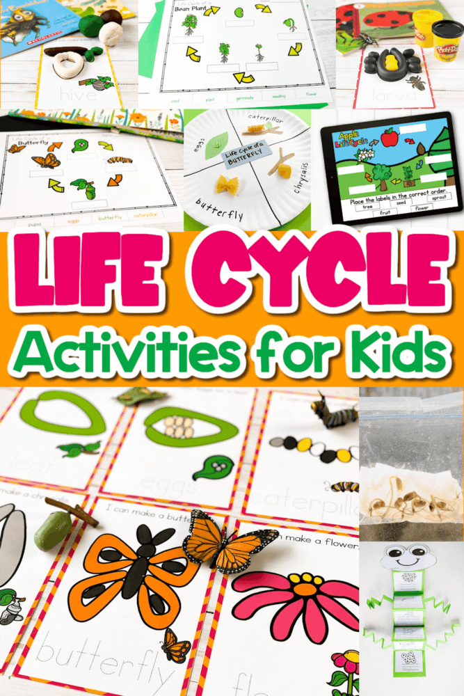 collage of 9 photos of life cycle activities for kids: life cycle play dough mats, life cycle diagrams, digital life cycle activities for google slides and seesaw, hands-on life cycle science experiment
