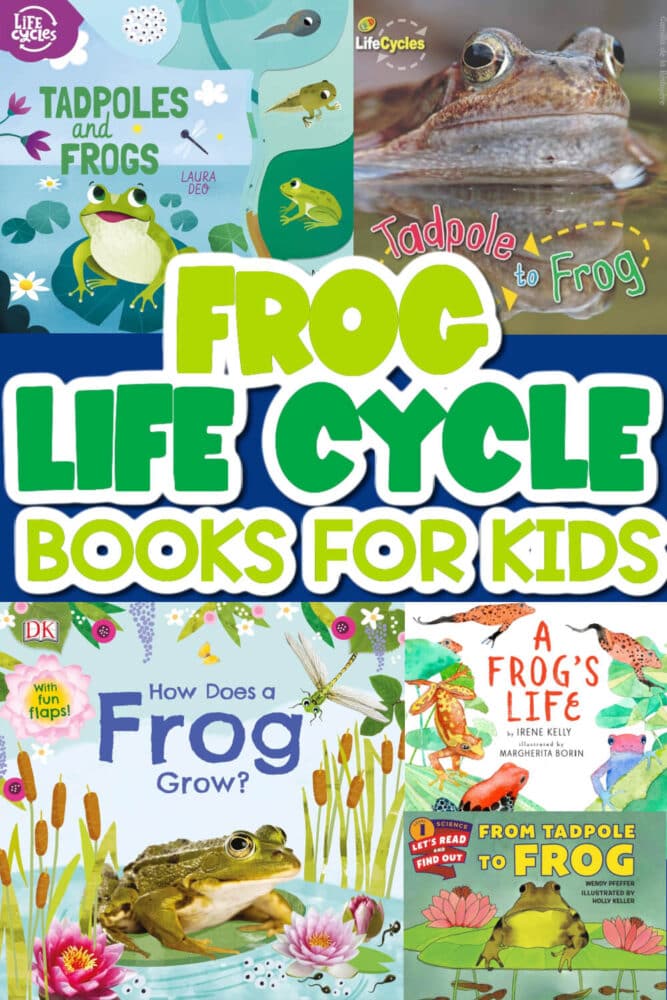 life cycle of a frog books for kids