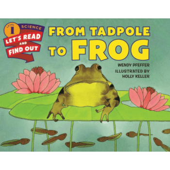 10 Amazing Life Cycle of a Frog Books for Kids 🐸