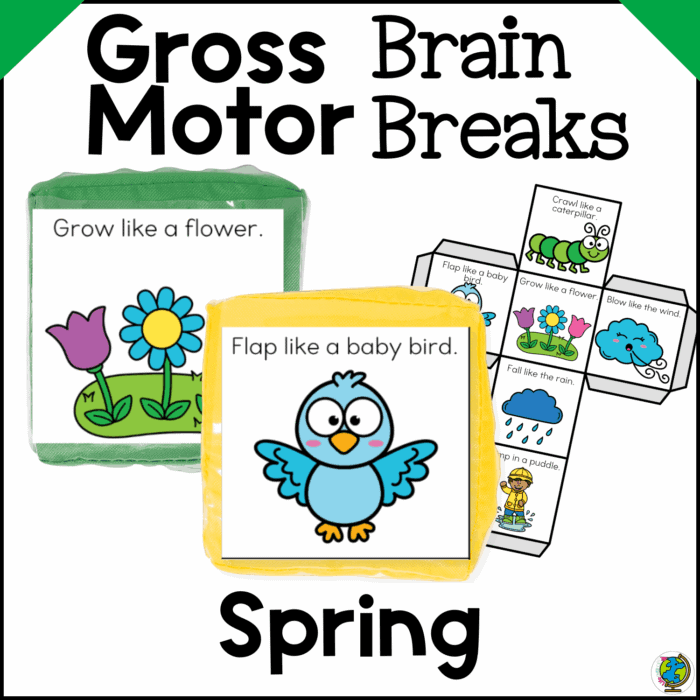 spring gross motor brain break cube1