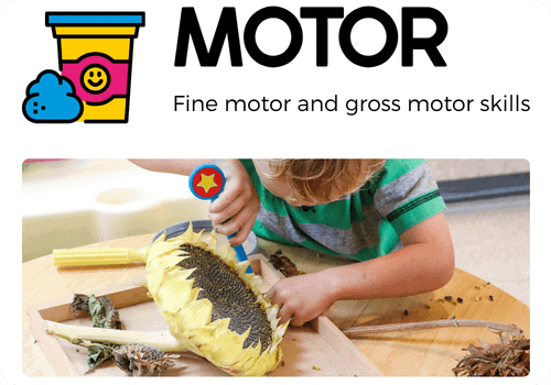 fine motor and gross motor activities for preschoolers and kindergarteners, featuring a child using a child-safe tool while exploring and removing seeds from a sunflower.
